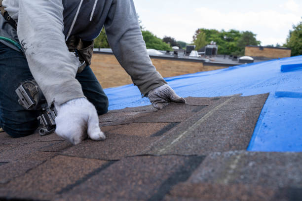 Best Local Roofing Companies  in Mart, TX