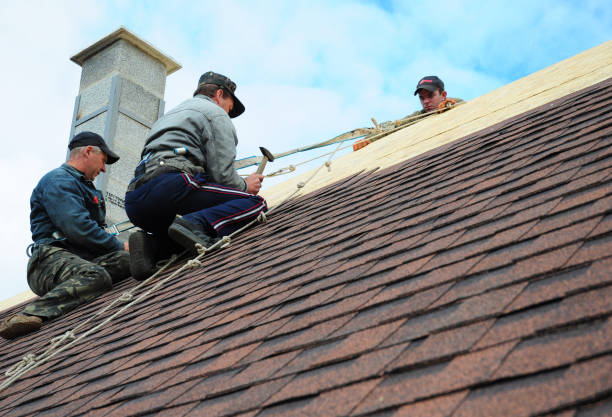 Roof Gutter Cleaning in Mart, TX